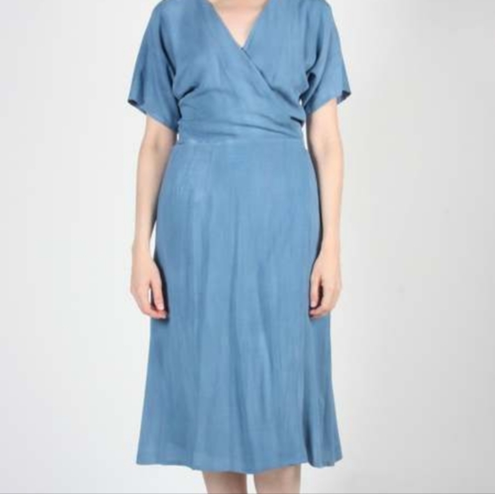 Birds of North America Hookbill Dress Blue